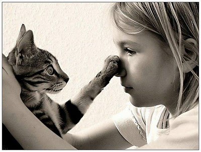 Zooterapia sau terapia cu animale - Psiholog Craiova